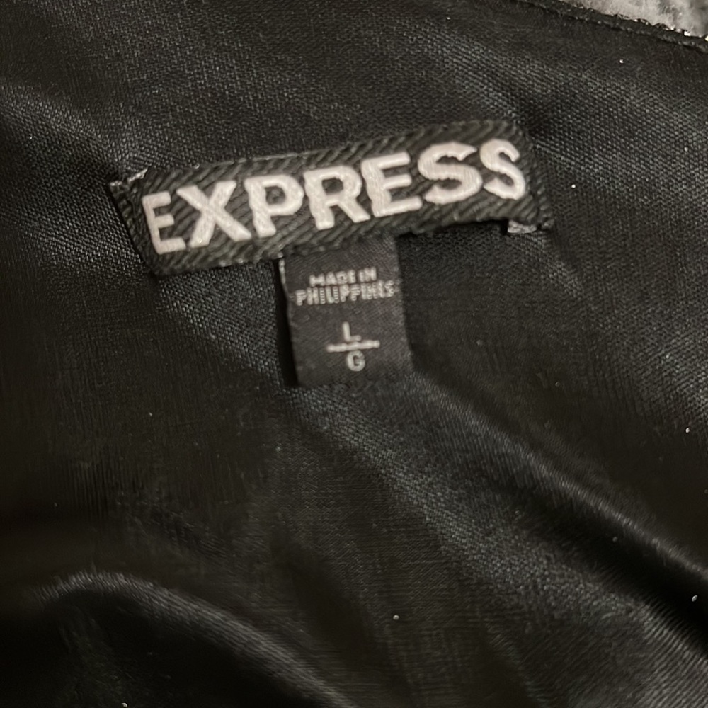 Express Dress - Picture 4 of 4